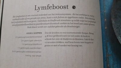 Lymfeboost thee