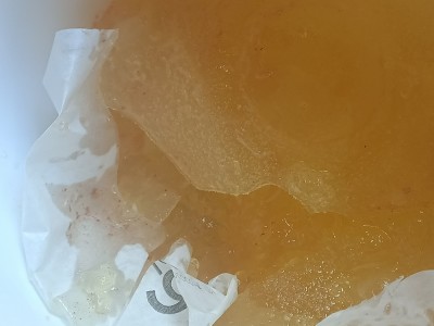 IMG20230227120810.jpg